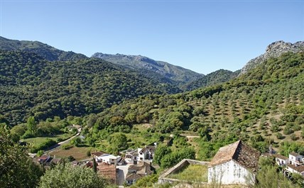 Imagen de la ruta