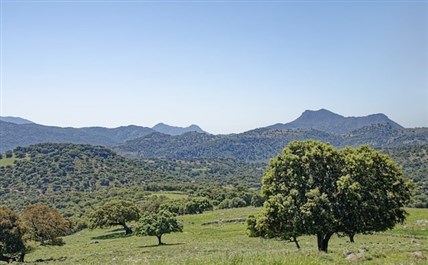 Imagen de la ruta