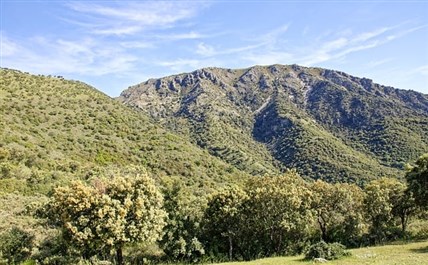 Imagen de la ruta