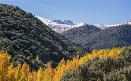 Imagen de la ruta