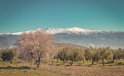 Imagen de la ruta