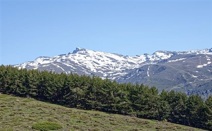 Imagen de la ruta