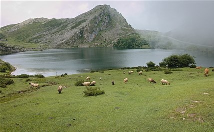 Imagen de la ruta