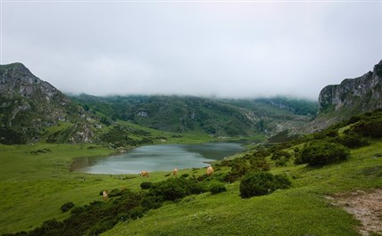 Imagen de la ruta