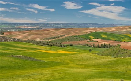 Imagen de la ruta