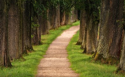 Imagen de la ruta